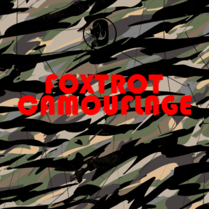 Proprietary Camouflaged